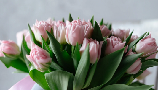 Buy Sophie Flowers – Fan Gift Card